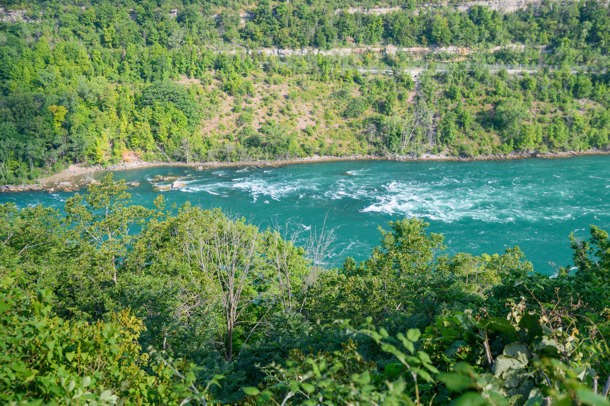 Gorge Trail, Falls, Jet Boat  (2 of 55)